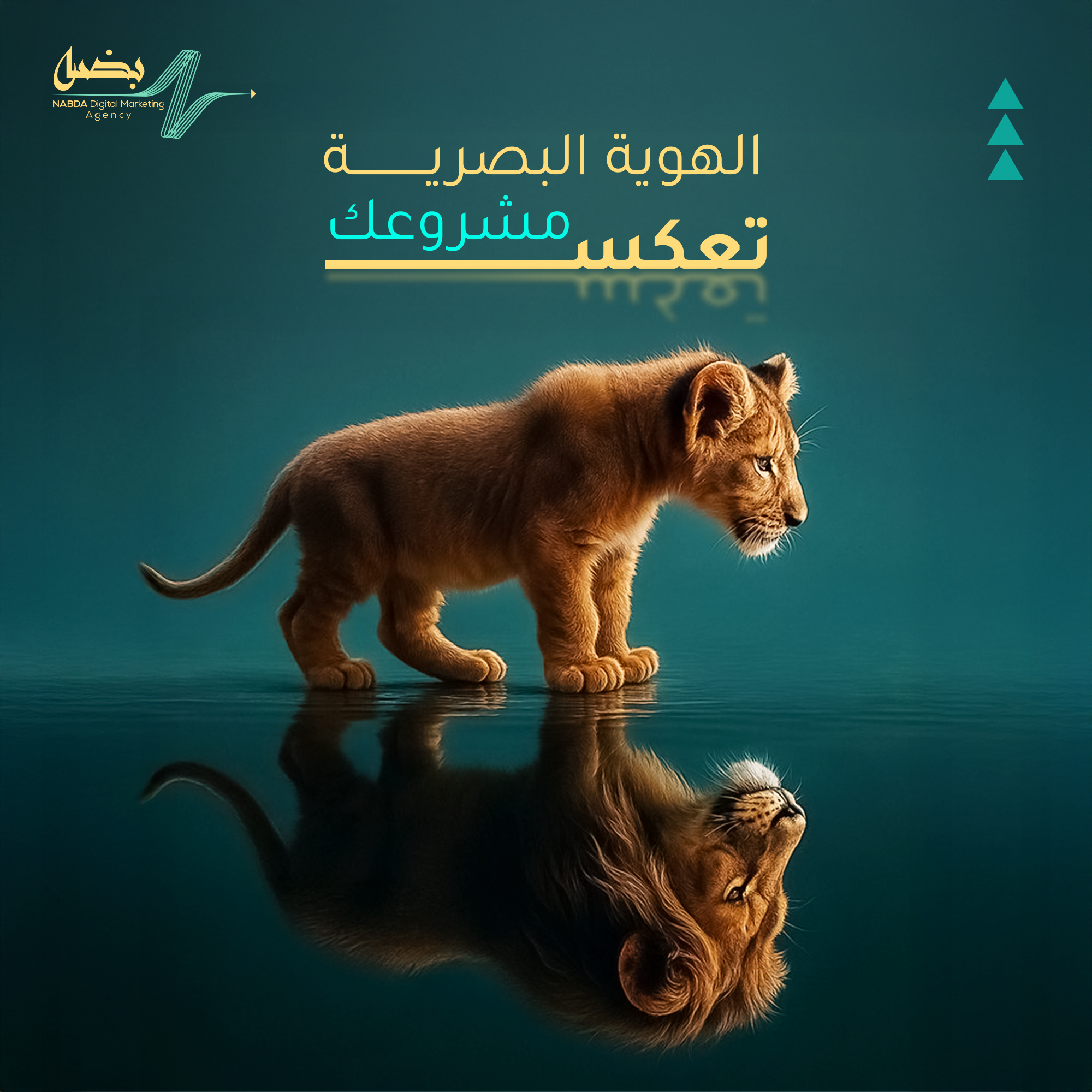 صورة 3